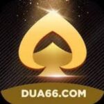 Dua66